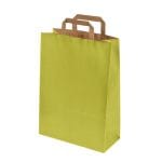 Dāvanu maiss ar plakaniem rokturiem, 270x120x370mm, PAP, 90gsm, gaiši zaļš