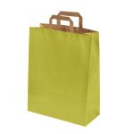 Dāvanu maiss ar plakaniem rokturiem, 320x170x450mm, PAP, 90gsm,  gaiši zaļš