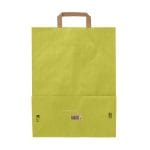 Dāvanu maiss ar plakaniem rokturiem, 320x170x450mm, PAP, 90gsm,  gaiši zaļš - Image 3