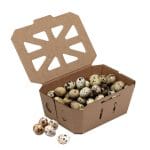 Gofruoto kartono dėžutė uogoms 139 x 97 x 60 mm su atlenkiamu dangteliu, 300 ml, kraft, rudos sp., pakuotėje 20 vnt. - Image 5