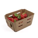 Cardboard boxes for berries, 500 g, kraft - Image 4